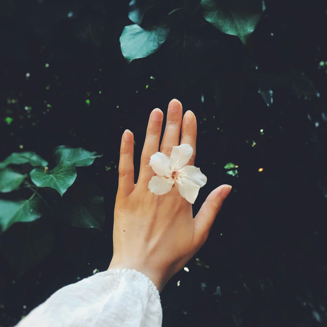 Dlaň s květem